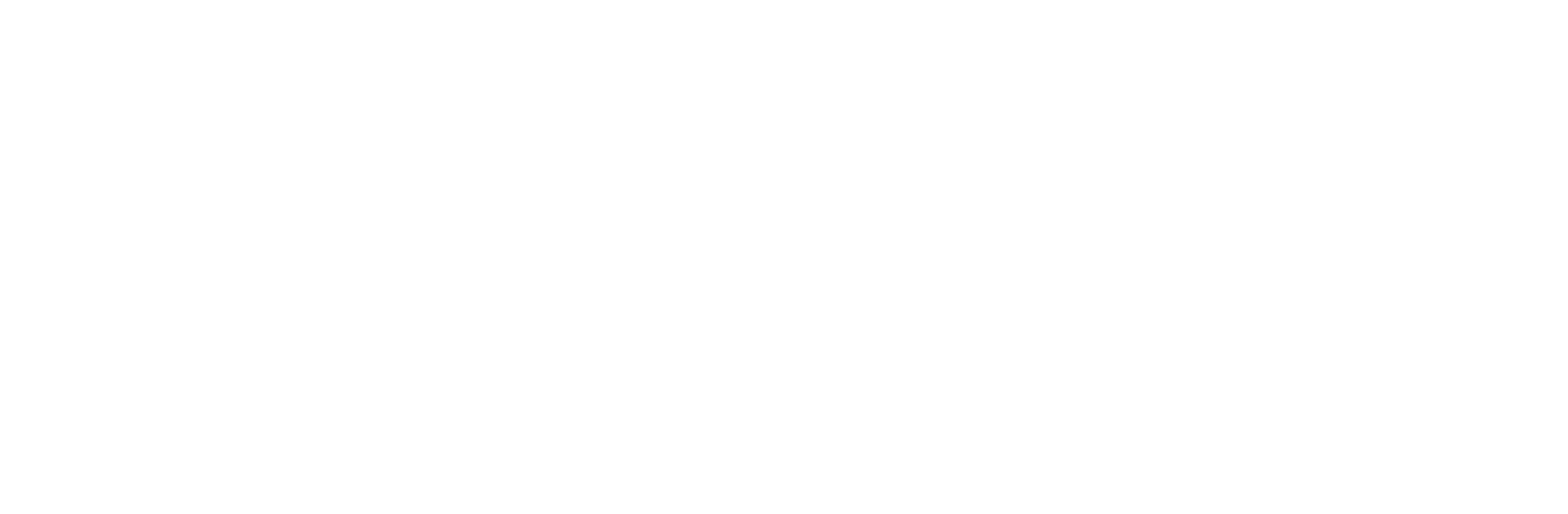 google google